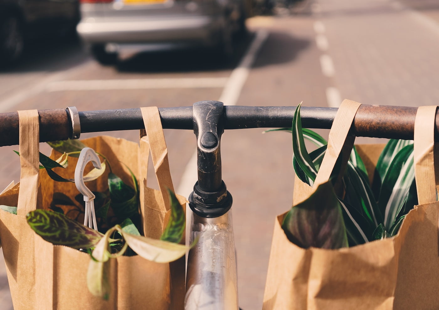 Bike holding two bags with plants
