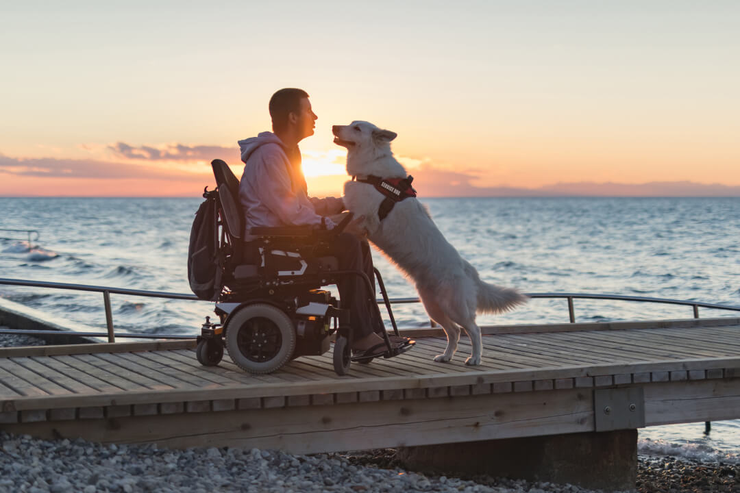 Man in a wheelchair with a dog, both on a jetty near the sea at sunset