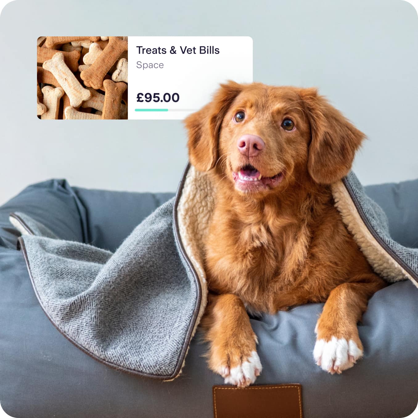 A dog covered with a blanket in the forground, with a screenshot of a 'Treats & vet Bills' space totalling £95