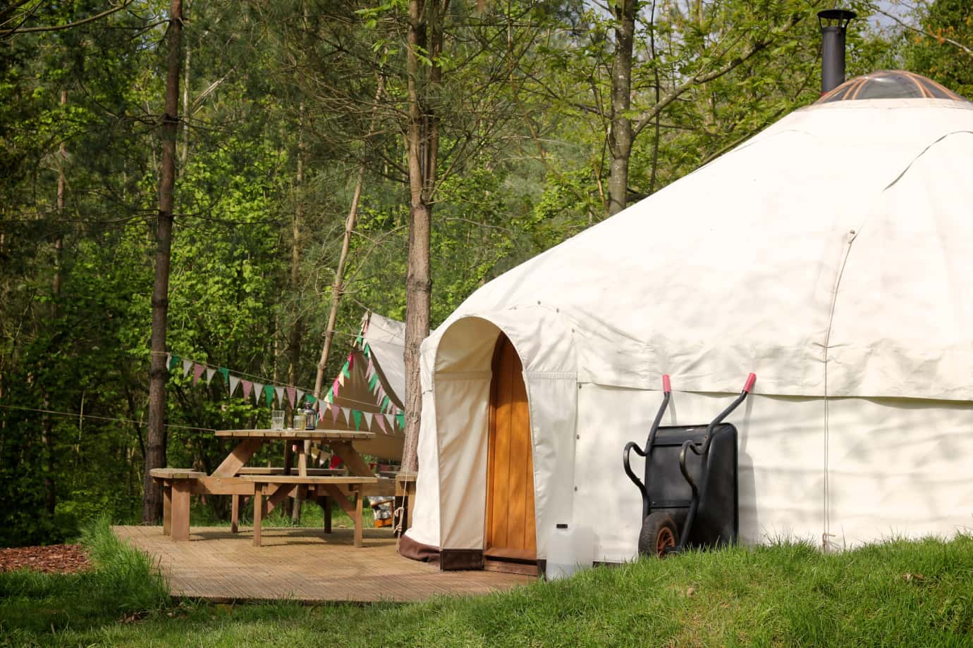 A yurt used for glamping in style in a forest
