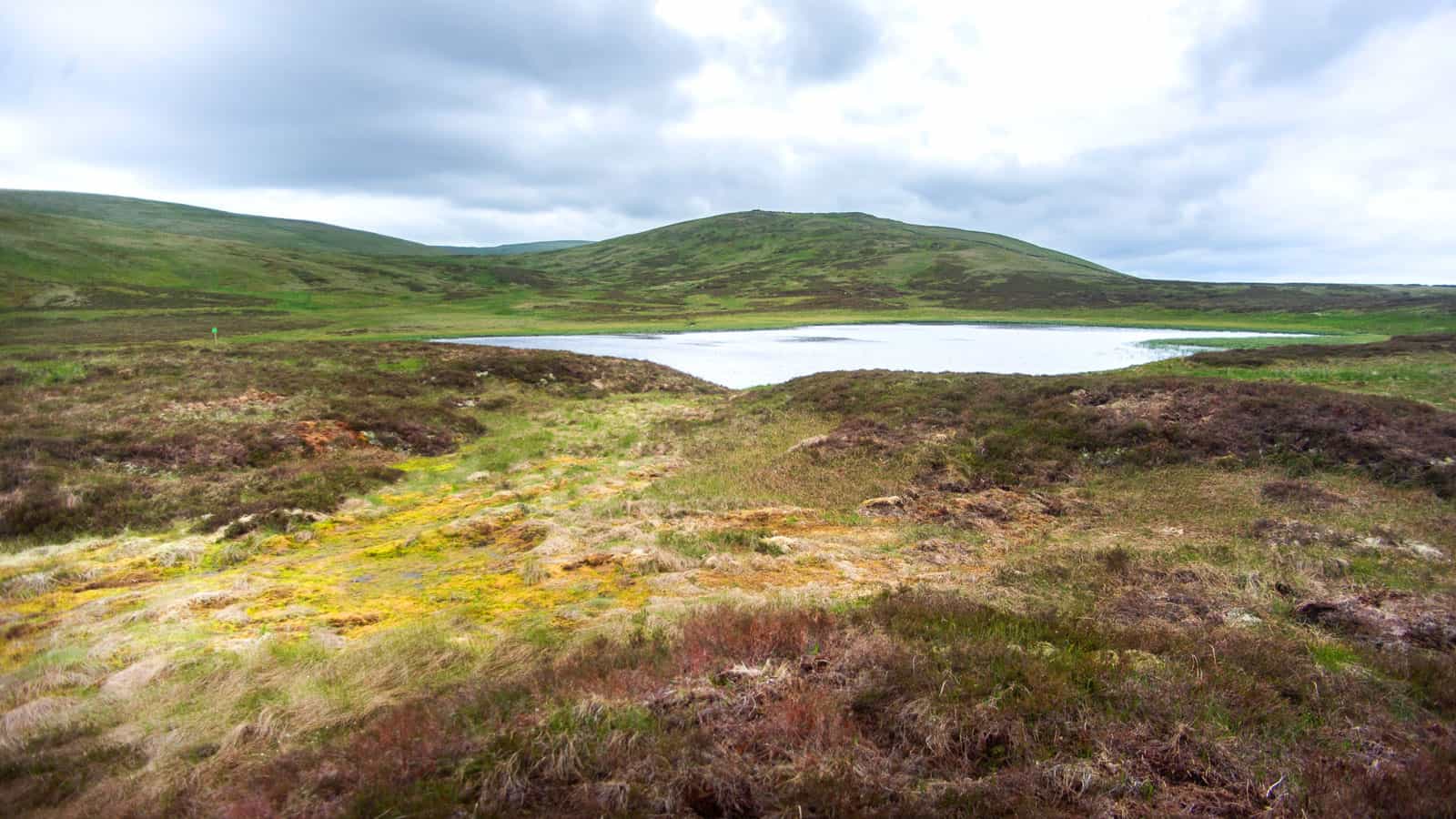 Scottish peatlands