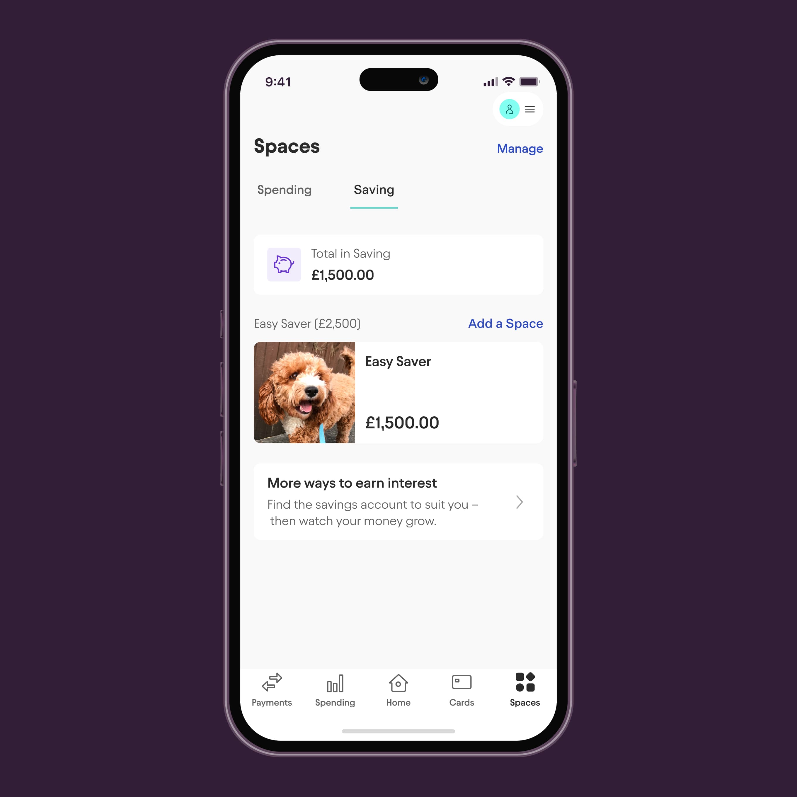 Image showing Easy Saver Spaces on mobile